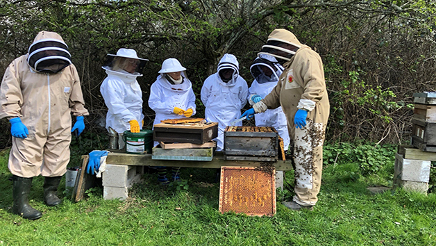 Inside the Hive Rural Beekeeping Experience for Two with Park Farm Cottage picture