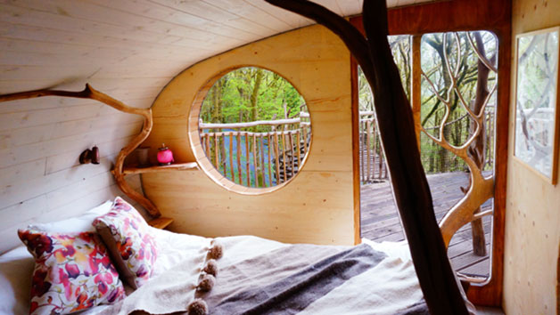 Two Night Family Treehouse Escape, Wales picture