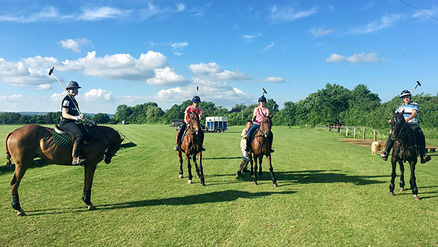 Introduction to Polo for One with Lunch at Taunton Vale Polo Club Image 1