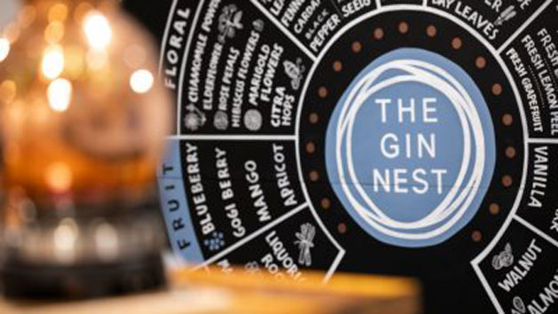 Gin Making Experience for One at The Gin Nest in Torquay picture