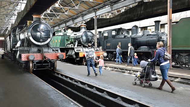Steam and Diesel Train Day Out for Four at Didcot Railway Centre picture