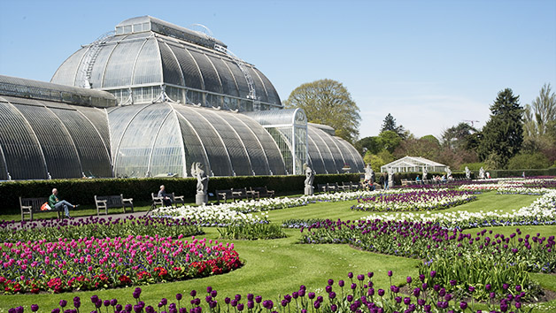 Kew Gardens Private Guided Walking Tour and Admission for Two Image 1