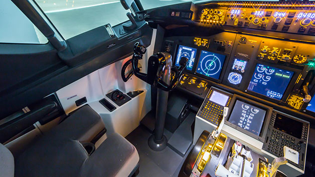 60 Minute Boeing 737-800 Flight Simulator Experience picture
