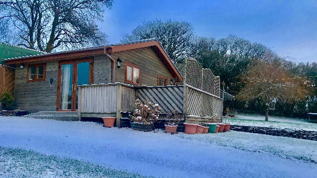 One Night Stay at Swansea Log Cabin picture
