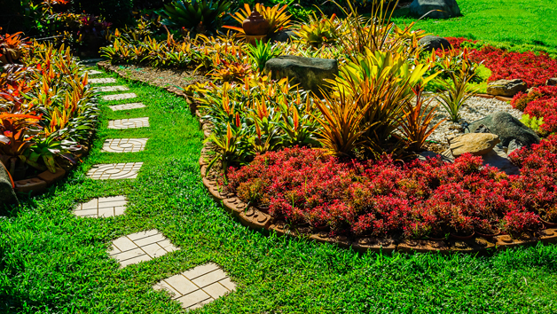 Garden Design and Maintenance Diploma Online Course for One Person picture