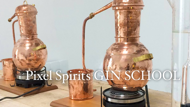 Online Gin School Experience with a Master Distiller from Pixel Spirits Distillery for Two Image 2