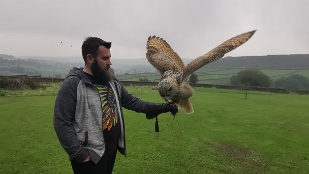Birds of Prey Encounter at SMJ Falconry for One picture