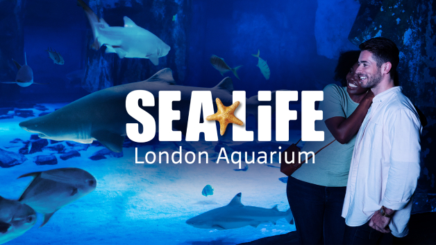 Two Entry Tickets to SEA LIFE London Aquarium picture