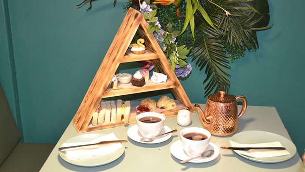 Afternoon Tea for Two with The Tea Rooms picture