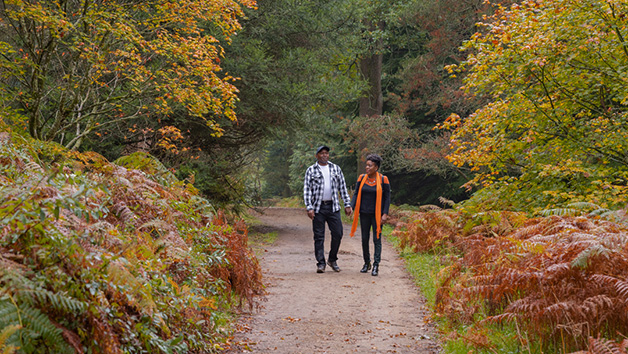 A Visit to Wakehurst for Two picture