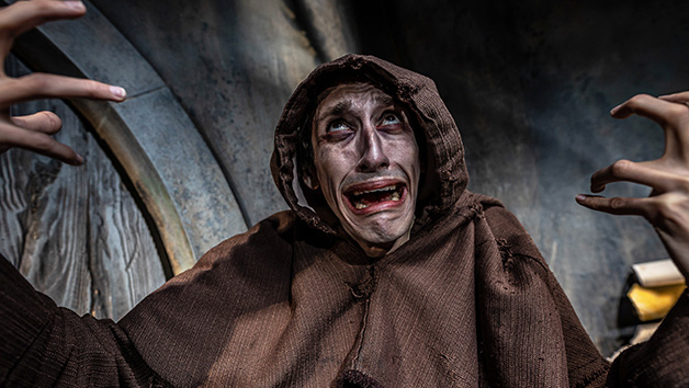 Entry Tickets to York Dungeon For One picture