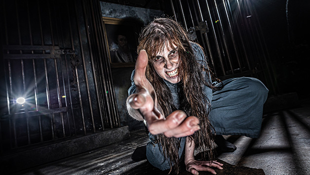 Entry Tickets to York Dungeon For Two Adults and Two Children picture