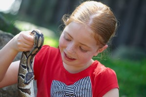 Reptile Close Encounter Experience for Two at Drusillas Park Zoo Image 3