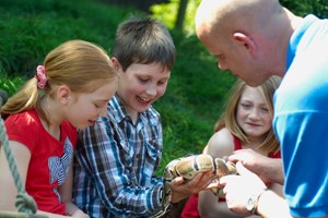 Reptile Close Encounter Experience for Two at Drusillas Park Zoo Image 2