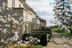 Spa Morning with 50 Minute Treatment and Brunch for Two at Rudding Park picture