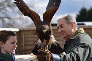 Click to view details and reviews for Introduction To Falconry For Two At Willows Bird Of Prey Centre.