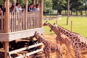 Entry to Whipsnade Zoo for Two Adults Image 5