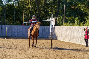 Jousting Experience in Warwick for One Image 3