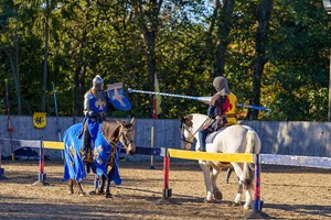 Jousting Experience in Warwick for One Image 2