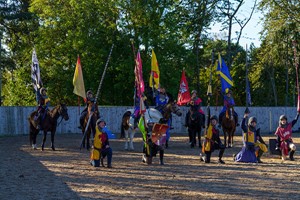 Jousting Experience in Warwick for One Image 4