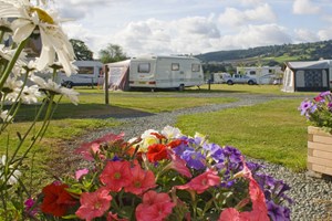 One Night Glamping Break at Daisy Banks Image 3