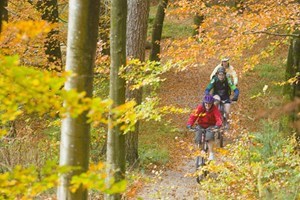 Mountain Biking for Two at Gorsebank Image 2