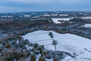 A Visit to Wakehurst for Two  Image 3