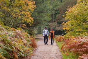 Click to view details and reviews for A Visit To Wakehurst For Two.