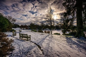 Family Visit to Wakehurst for One Adult and One Young Person  Image 2