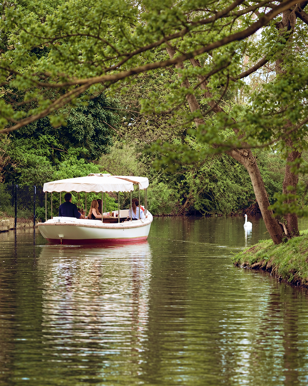 Take life at a gentler pace collection picture