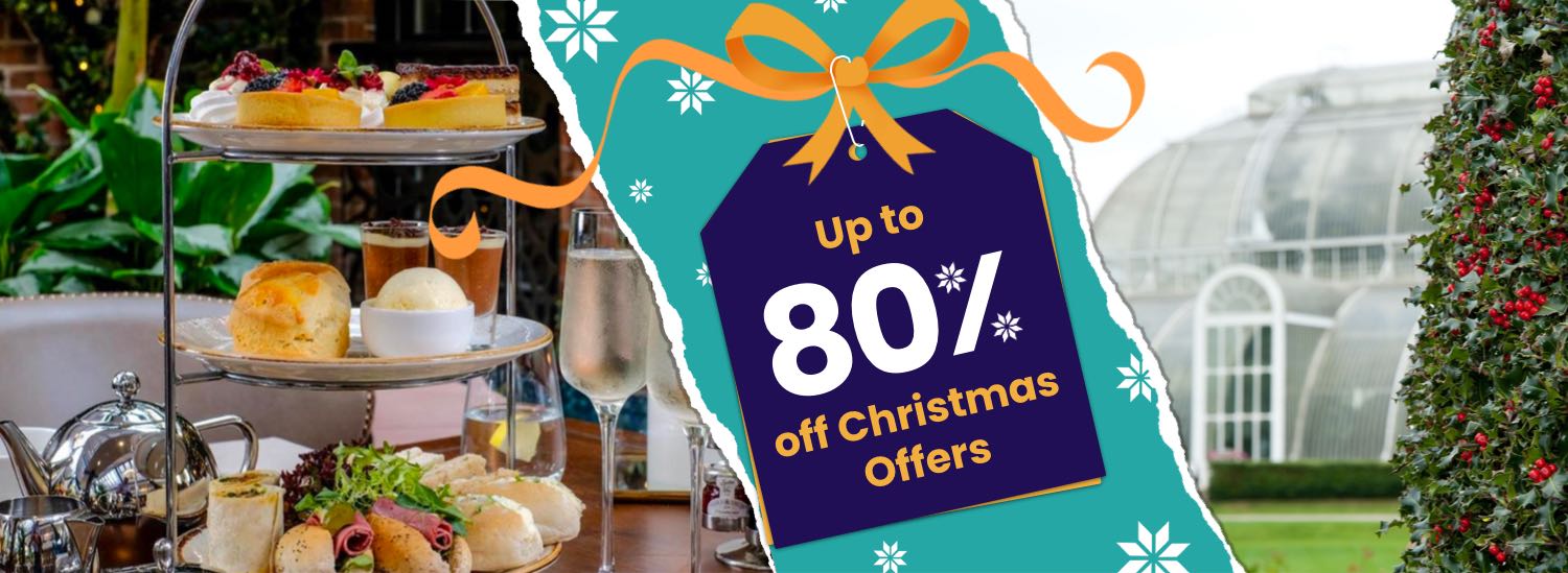 Christmas Offers - Up to 80% off