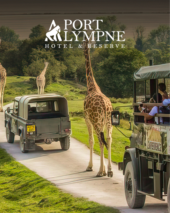 Port Lympne Reserve Entrance with Truck Safari and Afternoon Tea for Two collection picture
