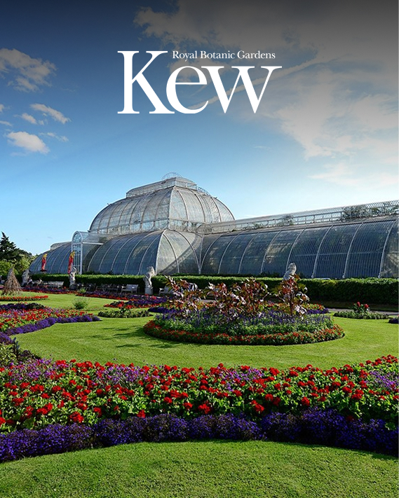 Visit to Kew Gardens and Palace for Two picture