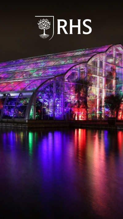 RHS Glow Illuminations for Two Adults and Two Children at Wisley collection picture