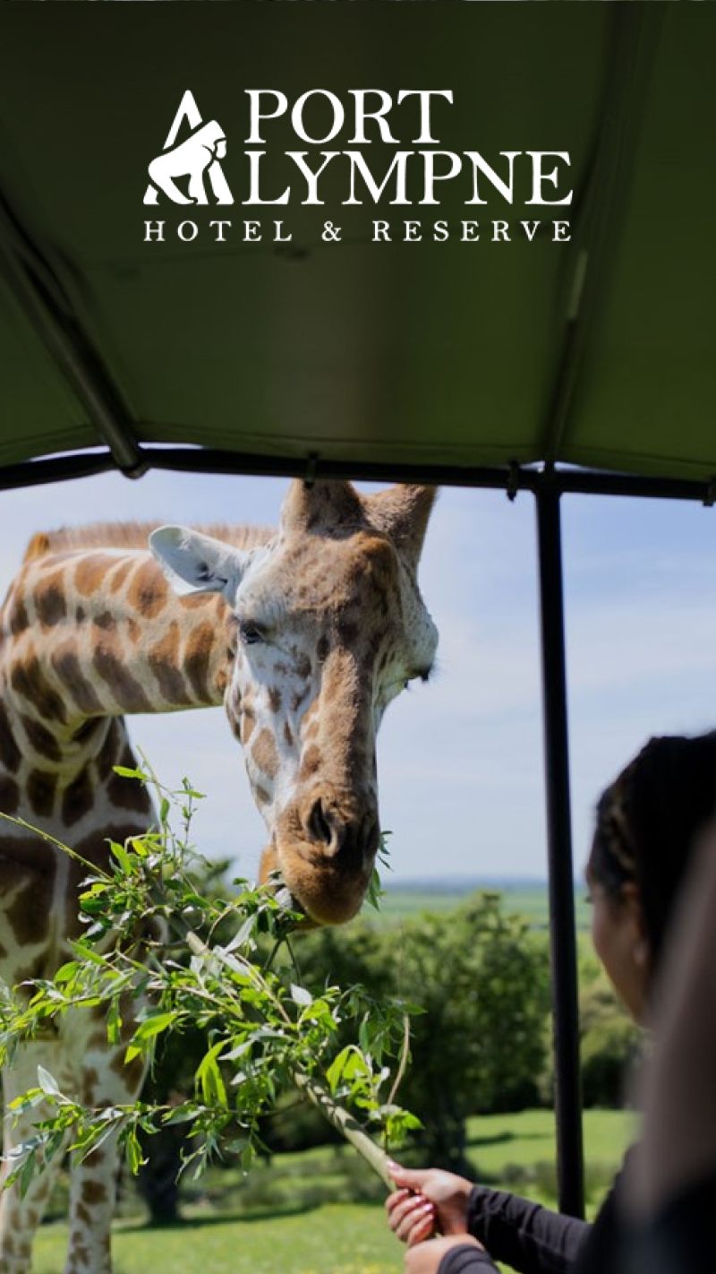 Giraffe Lodge Stay for Two with Dinner, Breakfast and Safari at Port Lympne Hotel and Reserve collection picture