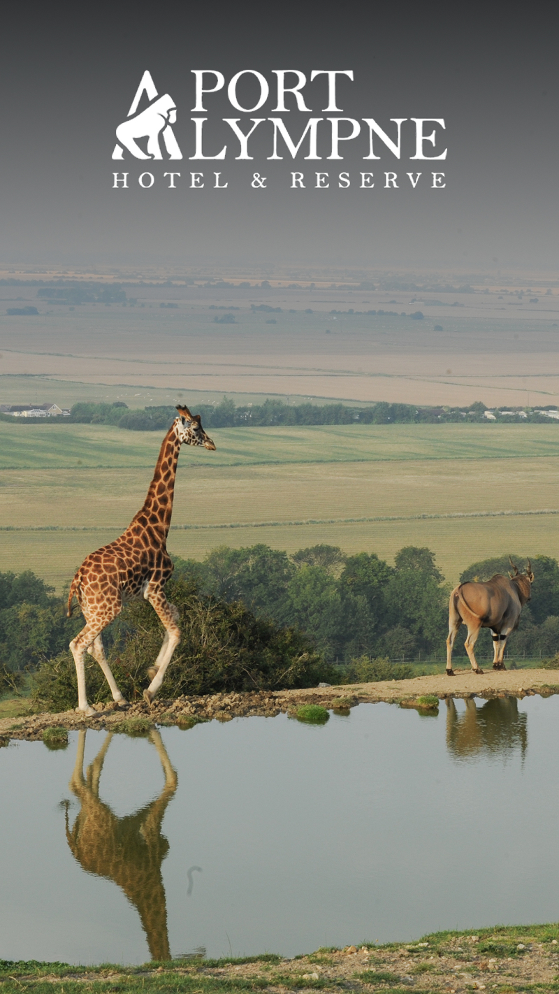 Pinewood Pod Stay for Up To Four with Safari at Port Lympne Hotel and Reserve collection picture