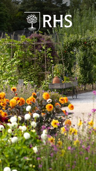 Unlimited Access to Five RHS Gardens with RHS Joint Membership collection picture