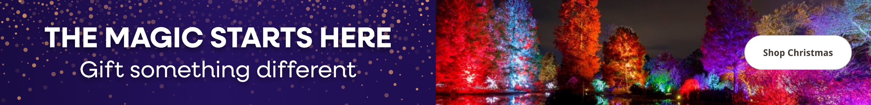 The Magic Starts Here - Gift Something Different - Shop Christmas